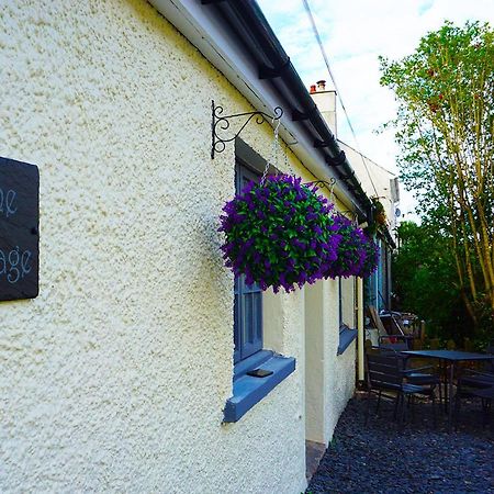 Staycation At Pine Cottage, A Newly Refurbished Holiday Cottage Goodwick Bagian luar foto