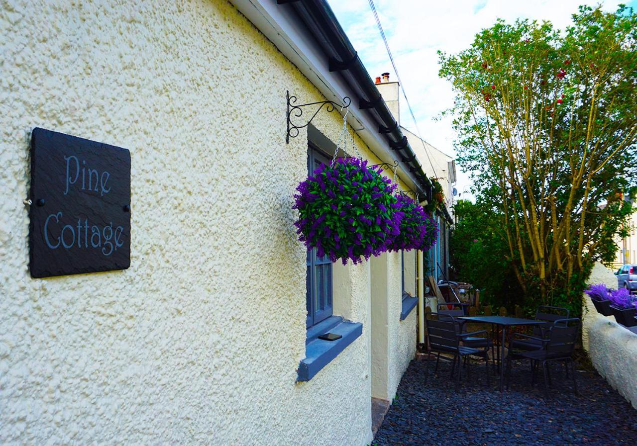 Staycation At Pine Cottage, A Newly Refurbished Holiday Cottage Goodwick Bagian luar foto